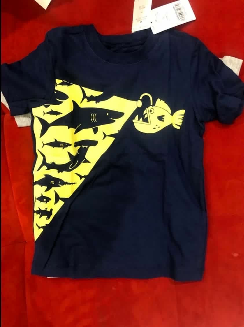 Carter’s T Shirt. Size: 2T