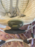 Graco Swing