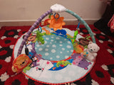 Fisher Price Play Mat