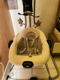 Graco Duetsoothe Swing & Rocker