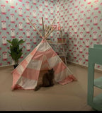Baby Tent