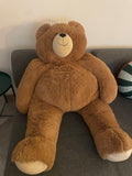 Giant Teddy