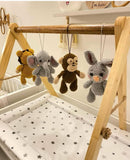 Wooden Play Gym