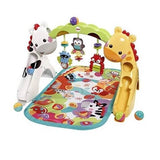 FisherPrice Play Gym