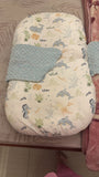 Baby Lounger or Nest / 0-24m