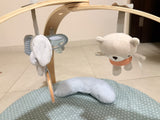 Ingenuity Playmat