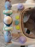Baby Walker 4 in 1 with Detachable Activity Tray