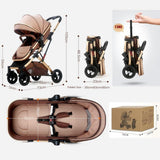 Convertible Stroller with Reversible Bassinet