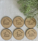 Monthly Baby Milestone Discs by The Cutoutery / Set of 12