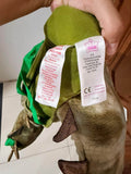 Dinosaur Costume Wearable Imported
