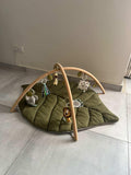 Baby Play Mat with Gym