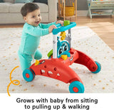 Fisher-Price 2-Sided Steady Speed Baby Walker