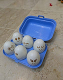 Tomy Eggs Matching Toy