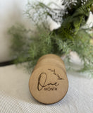 Monthly Baby Milestone Discs by The Cutoutery / Set of 12