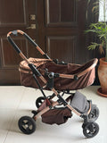 Convertible Stroller with Reversible Bassinet
