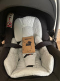 Nuna Pipa Lite Baby Seat