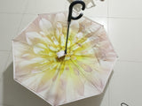 Reversible Umbrella