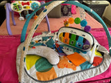 Baby Einstein Play Gym