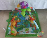 Fisher Price Jungle Play Gym with Musical Toucan