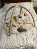 Crate & Barrel Busy Baby Activity Gym Play Mat