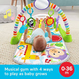 Fisher-Price Play Gym