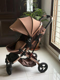 Convertible Stroller with Reversible Bassinet