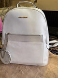 Aldo Backpack