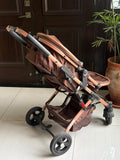 Convertible Stroller with Reversible Bassinet