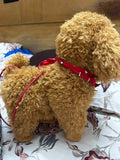 Interactive Stuffed Dog