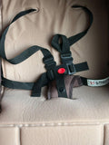 Convertible Stroller with Reversible Bassinet