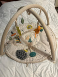 Crate & Barrel Busy Baby Activity Gym Play Mat