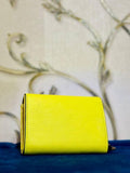 Aldo Wallet