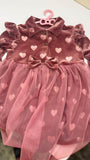 Baby Girl Velvet Hearts Tulle Dress / Size 18-24M