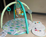 Bright Starts Hug ’N Cuddle Activity Gym & Playmat