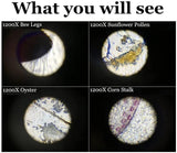 Microscope for Children