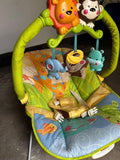 Fisher Price Rocker