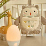 Tommee Tippee Gro Friends Olli the Owl Sleeping Aid