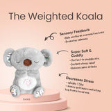 Evora the Weighted Koala
