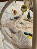 Crate & Barrel Busy Baby Activity Gym Play Mat