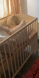 Ikea Cot with Mattress