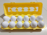 Matching Eggs Learning Toy for Kids / Pack of 12