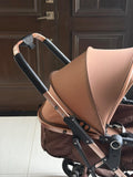 Convertible Stroller with Reversible Bassinet