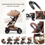 Convertible Stroller with Reversible Bassinet