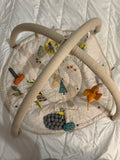 Crate & Barrel Busy Baby Activity Gym Play Mat