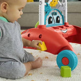 Fisher-Price 2-Sided Steady Speed Baby Walker