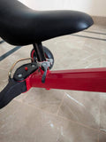 Convertible Tricycle/Bicycle