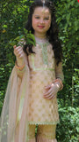 Hummingbirds Shalimar Gharara Set - 3 PC 4yrs